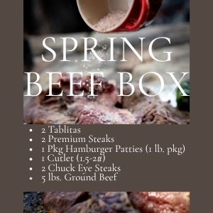 Spring Beef Box